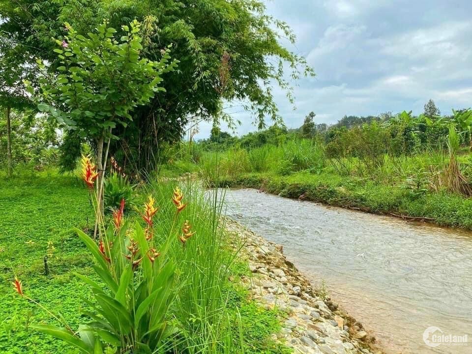 Bán miếng đất vườn đẹp cách UB xã Nam hà 500m, giá 1,4 triệu/m2