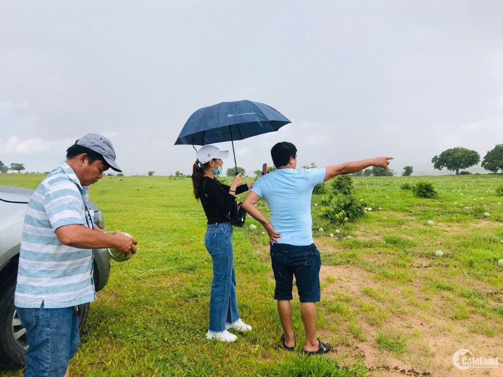 mình có vài lô đất gần biển, gần đường quốc lộ có SỔ ĐỎ sẵn giá chỉ từ 60nghin/m