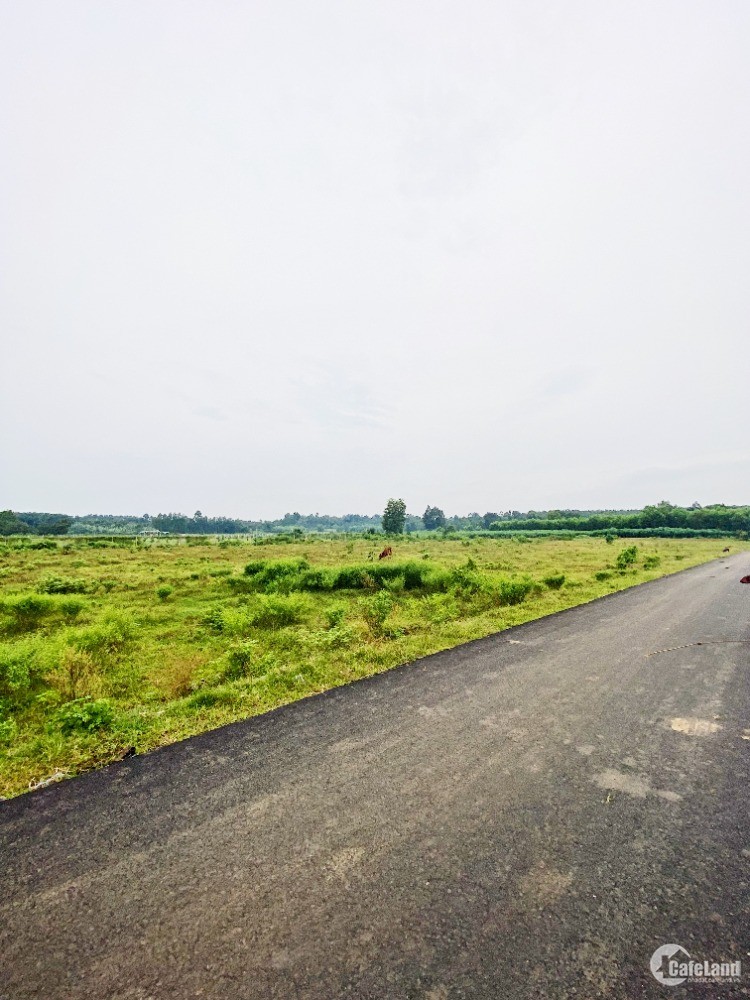 Bán lô đất 38000 thôn Tân Giao, Châu Đức. Đường nhựa đẹp 4m như hình tự chụp