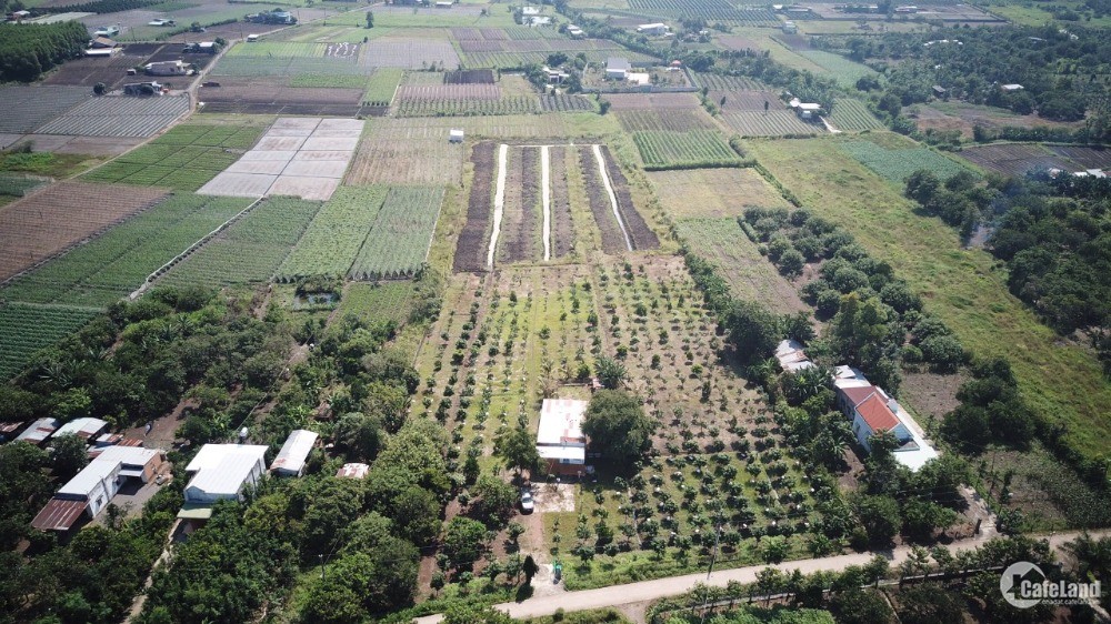 Bán gấp nhà vườn 1.5ha, sổ hồng riêng xã Xuân Phú, huyện Xuân Lộc, tỉnh Đồng Nai