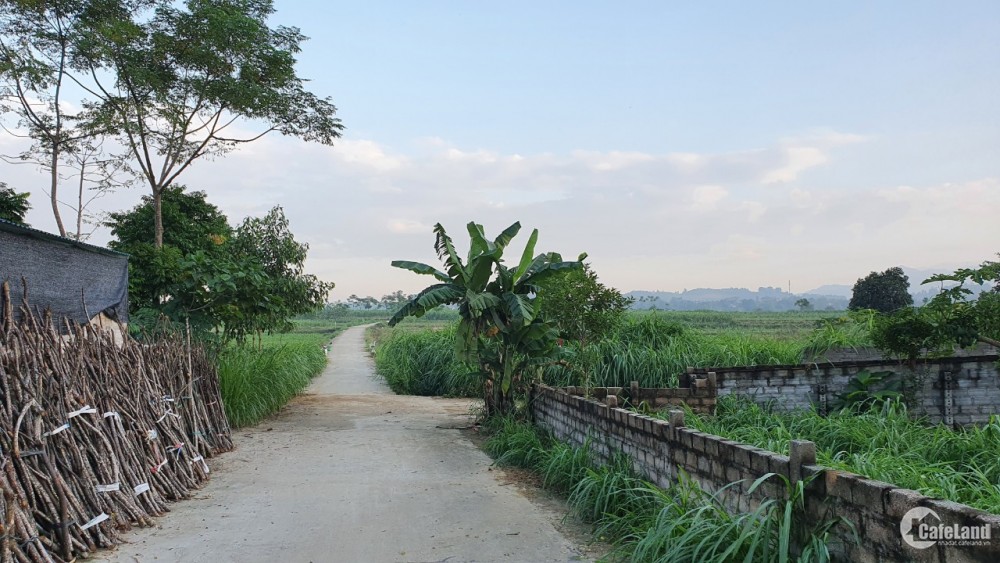 Bán đất xã Bắc Sơn, Sóc Sơn, 2.550m2, mặt hồ Cầu Bãi, đường ô tô tải. Giá bán