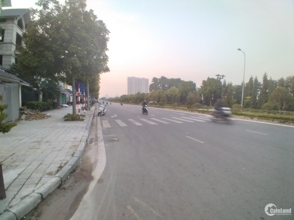 Bán Biệt thự Đơn lập KĐT Dương Nội- Khu M01- M02 mặt đường Ngô Thì Nhậm kéo dài