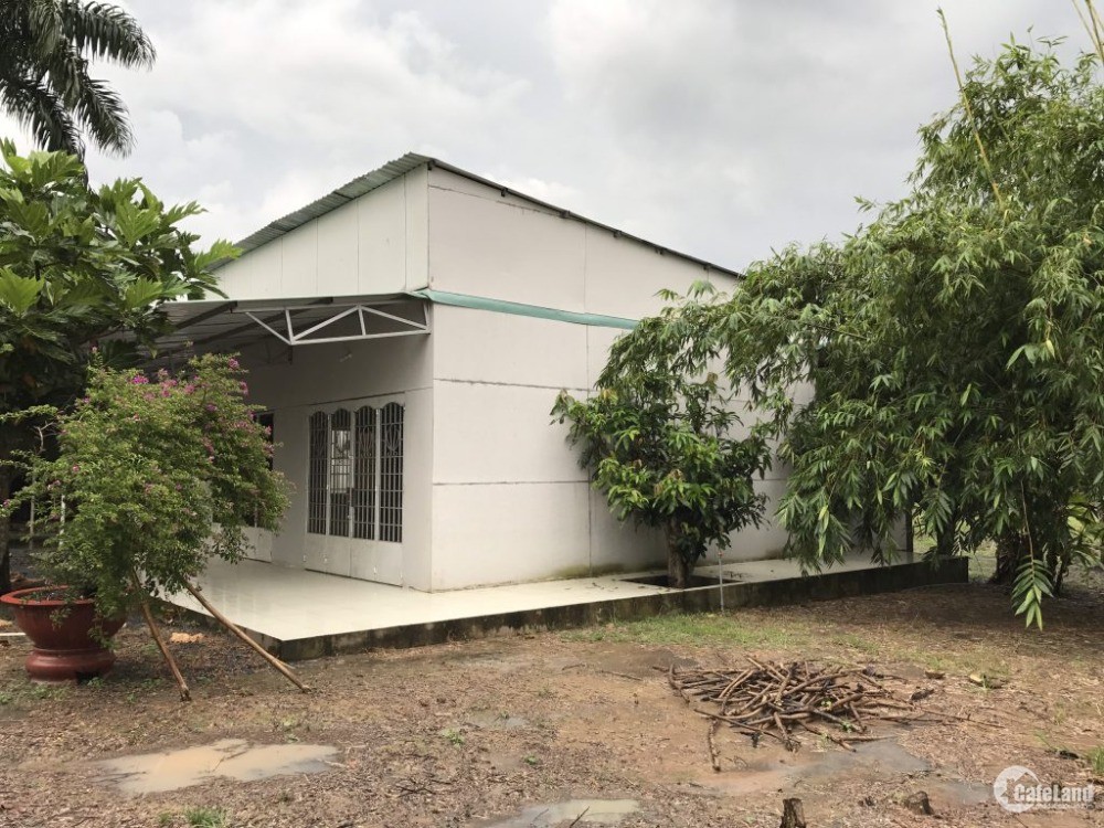 Cần bán gấp nhà và đất ở xã Phước Vĩnh An , Củ Chi, TP.HCM
