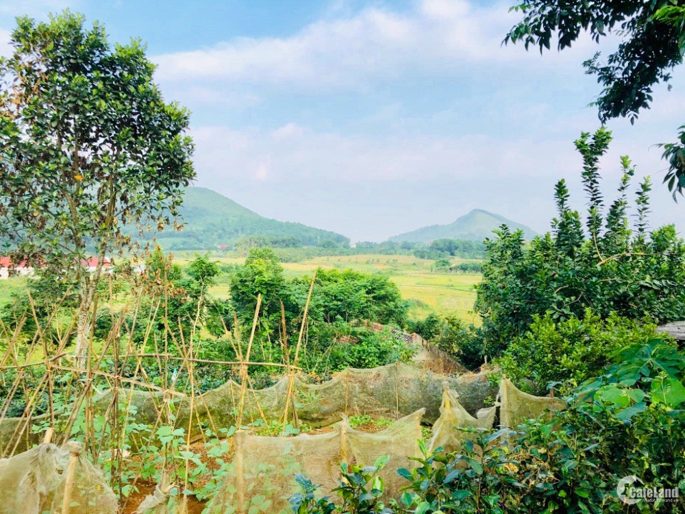 Bán nhanh 2696m2 đất nghỉ dưỡng Yên Bình view cánh đồng, sổ Hồng Hà Nội