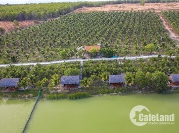 Bán 24,079m2 đất nông nghiệp hồng thái 2 mặt tiền giá chỉ 70k/m2.
