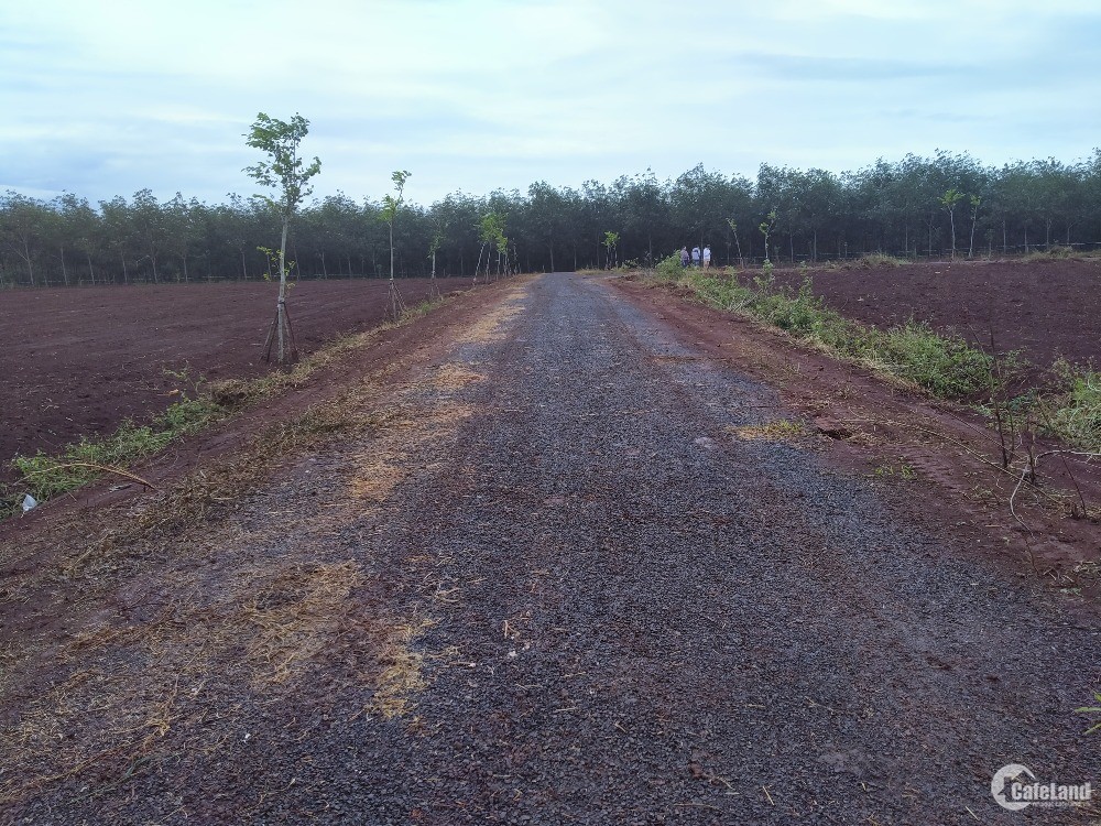 Bán đất nền sổ đỏ KDC mới huyện Chư Sê, Gia Lai