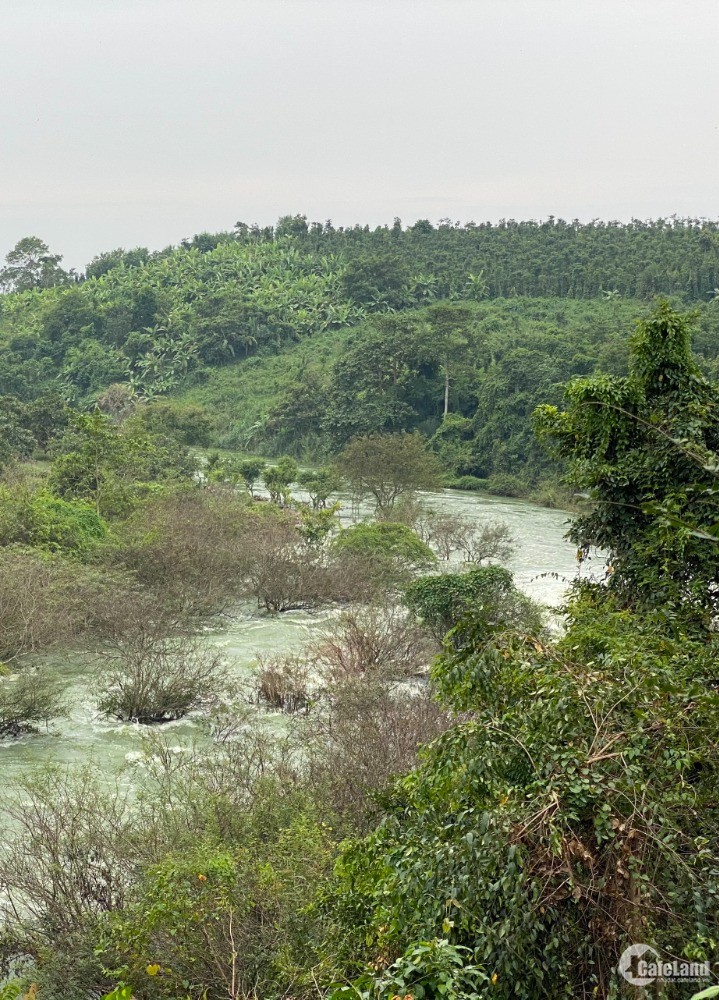 Bán đất đồi 10838m2 bờ thác sông Ray xã Sơn Bình, huyện Châu Đức, BRVT. Giá 3.3t