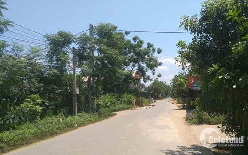 Bán đất đường Trương Văn Hải Phường Tăng Nhơn Phú B Thành Phố Thủ Đức