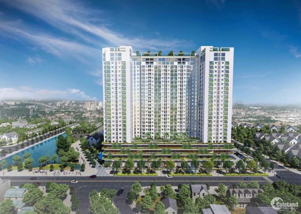 Căn Hộ Ecolife Riverside - Đạt chứng chỉ Xanh "EDGE" đầu tiên lại Quy Nhơn