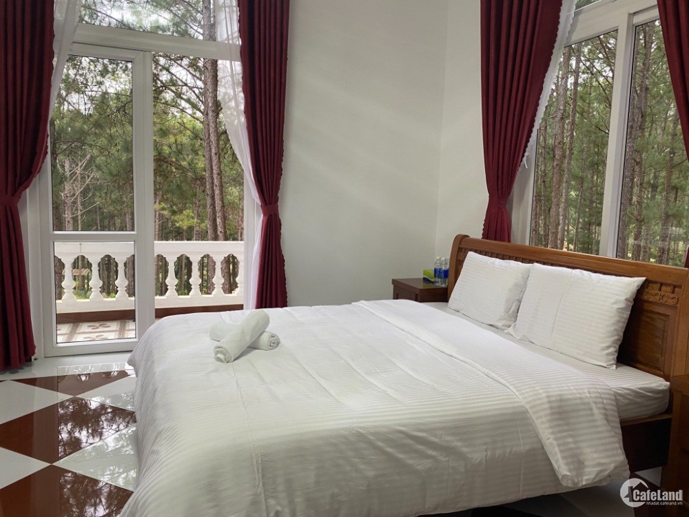 Bán biệt thự nghỉ dưỡng nằm trong rừng thông thành phố Đà Lạt