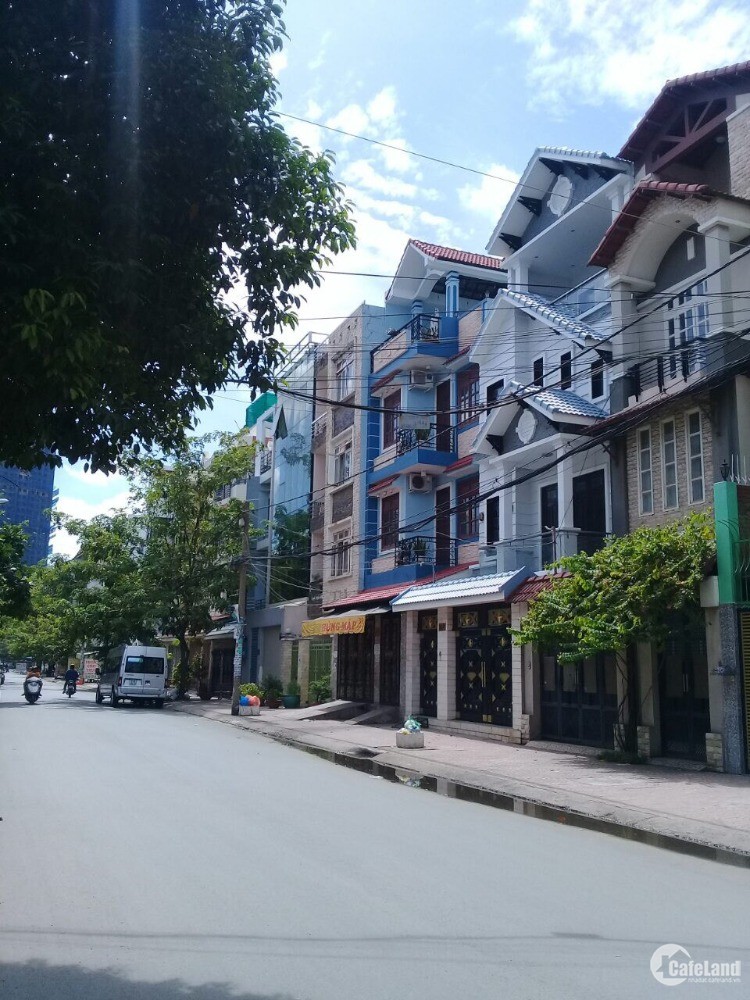 Biệt thự phố Cao cấp, mặt tiền Đ.Phạm Thị Tánh, P4, Q8 HCM
