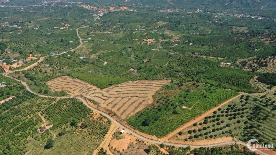 Đất SHR tại Lộc Nam, Bảo Lâm chỉ 748triệu/500m2 có 150m2 thổ cư