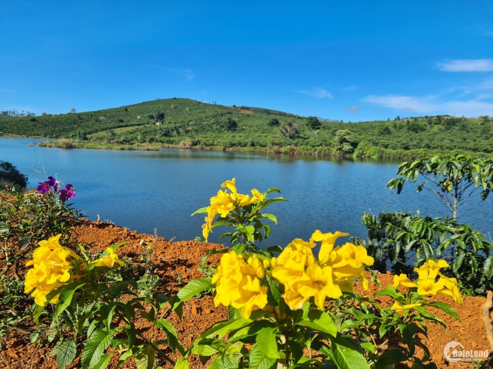 Đất View hồ giá rẽ gần Đà Lạt 0912361946