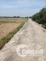 bể nợ bán 6,7 ha  giá 1ty/ ha gần đường 818