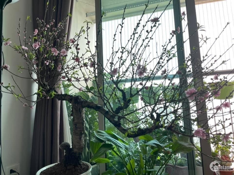 Bán căn hộ chung cư cao cấp Mandarin Garden 2, 99 Tân Mai, Hoàng Mai, Hn (gần tr