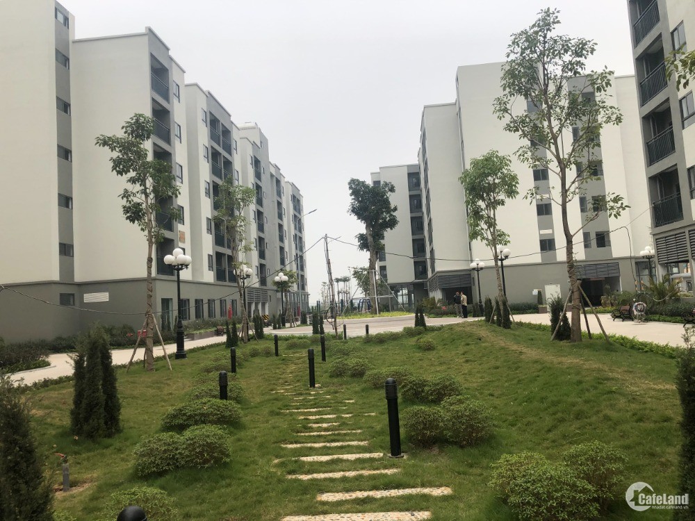 Bán căn hộ nhà ở Xã Hội tại Đại Thịnh, Mê Linh, Hà Nội giá chỉ 8tr/m2.