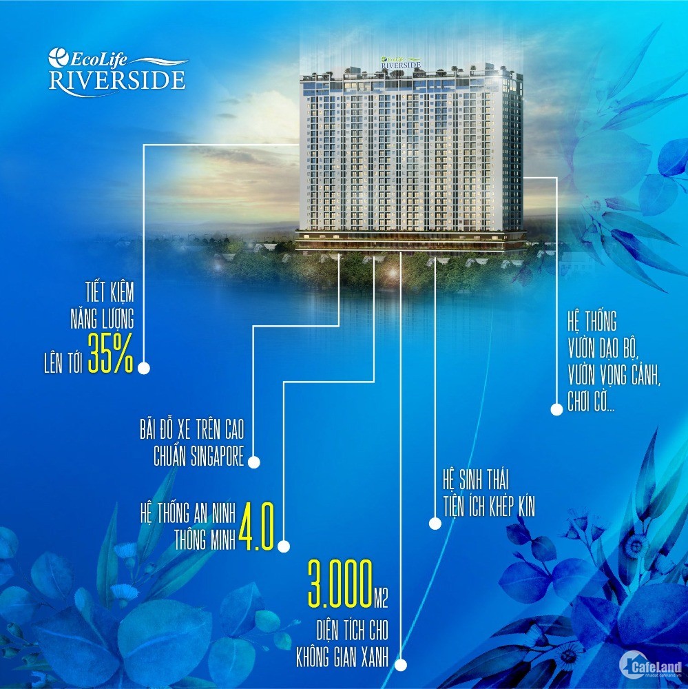 Ecolife Riverside căn hộ nét đặc trưng riêng biệt tại Quy Nhơn