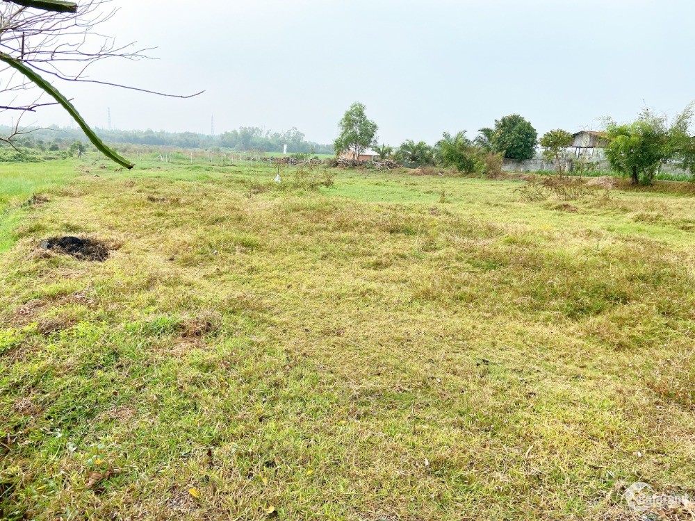 Bán lô đất vườn giá rẻ tại xã Thái Mỹ