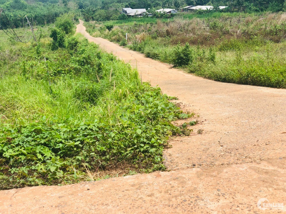 Bán đất vườn mặt tiền Bình Phước giá 450 triệu/ 1000m2 có thổ cư