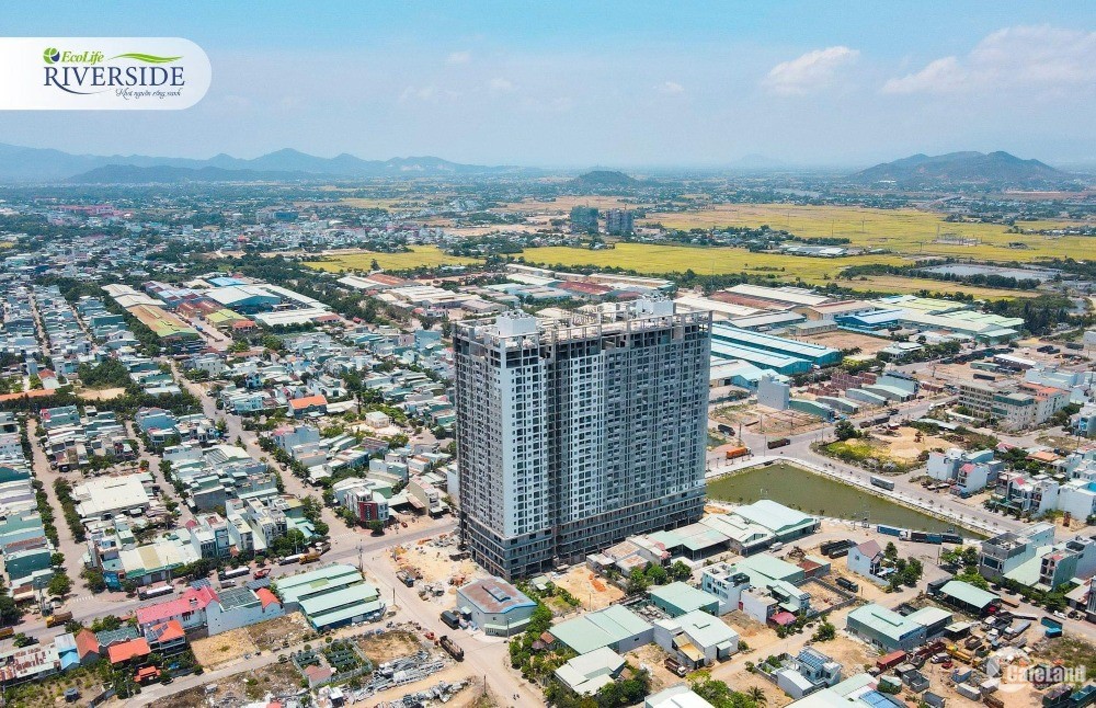 7 lý do làm Ecolife Riverside bán chạy nhất thị trường căn hộ Quy Nhơn