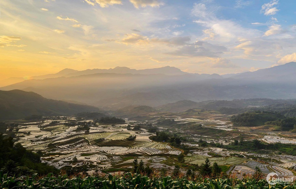 Mảnh đất View ruộng bậc thang đẹp nhất Y Tý