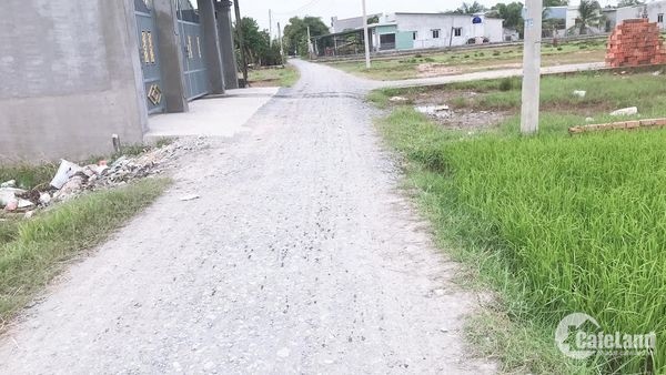 Đất lô đất lọt khe 4x12 giá 360tr, xã Vĩnh Lộc B, Bình Chánh