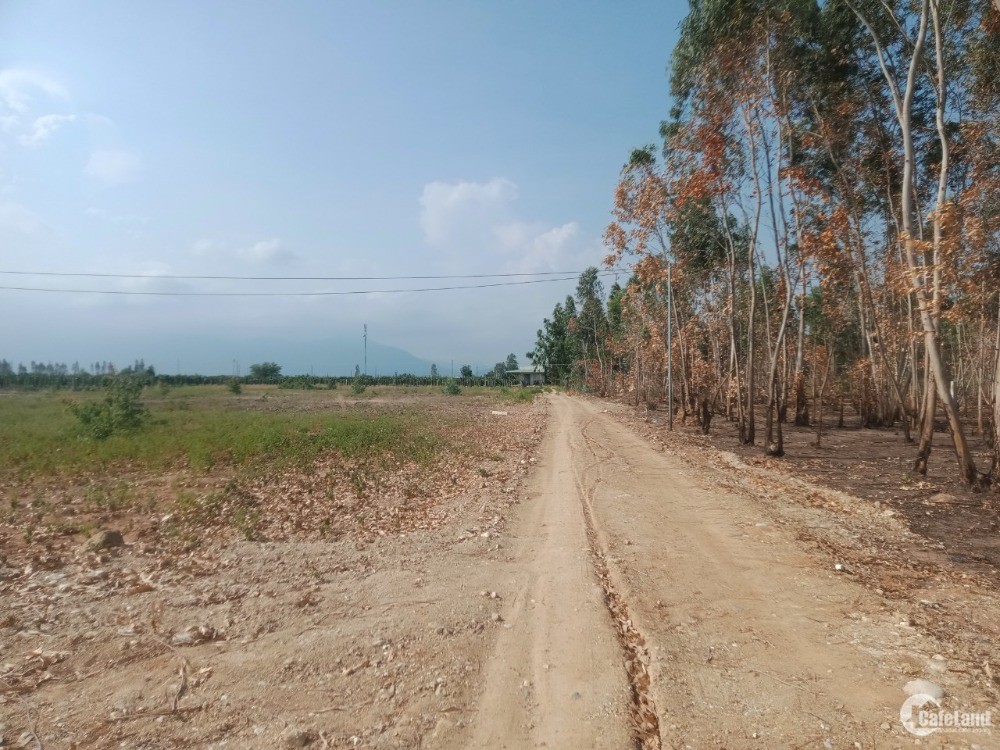 Thật dể dàng để sở hữu mảnh đất đẹp  ở Hàm Thuận Nam , TP Phan Thiết ,Bình Thuận