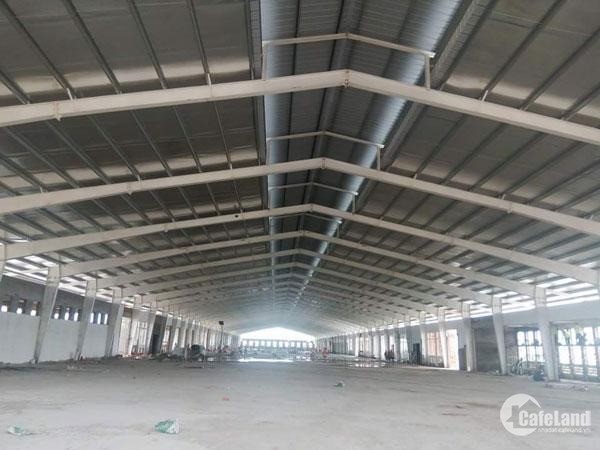 Cho thuê xưởng - kho trong KCN Cầu Cảng Phước Đông, Cần Đước, Long An