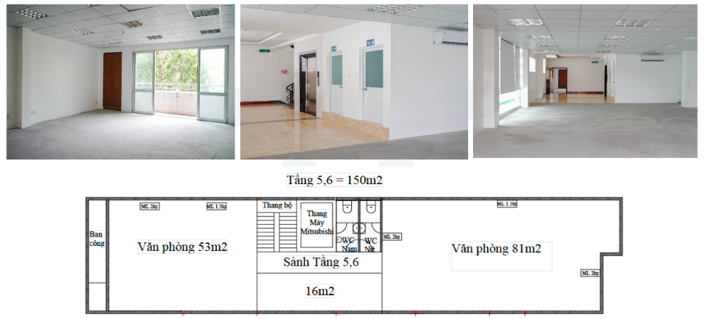 Cần cho thuê văn phòng toà nhà nằm trên đường Phạm Ngọc Thạch, P. Võ Thị Sáu, Q3