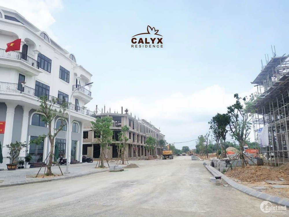Đón đầu sóng đầu tư dự án 319 Uy Nỗ Đông Anh - Calyx Residence