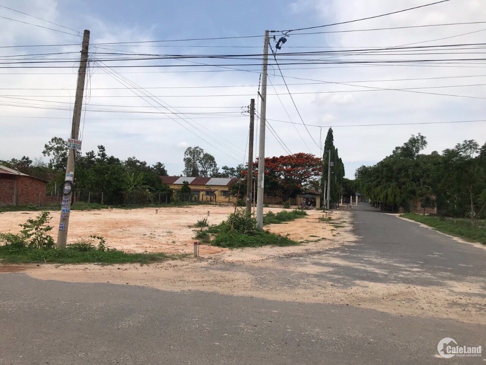 Đất ngộp cần bán gấp-đất mặt tiền nhựa lớn-H.Bến Cầu,Tỉnh Tây Ninh