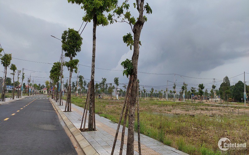 Bán lô đất Điện Bàn ngay sát QL1A, hạ tầng hoàn chỉnh, sổ sẵn công chứng ngay