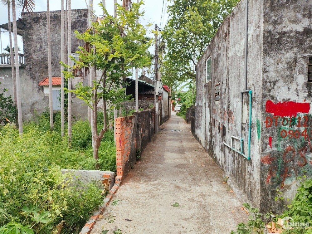 Bán đất đường Trung Nghĩa - Hợp Đức - Đồ Sơn - Hải Phòng.