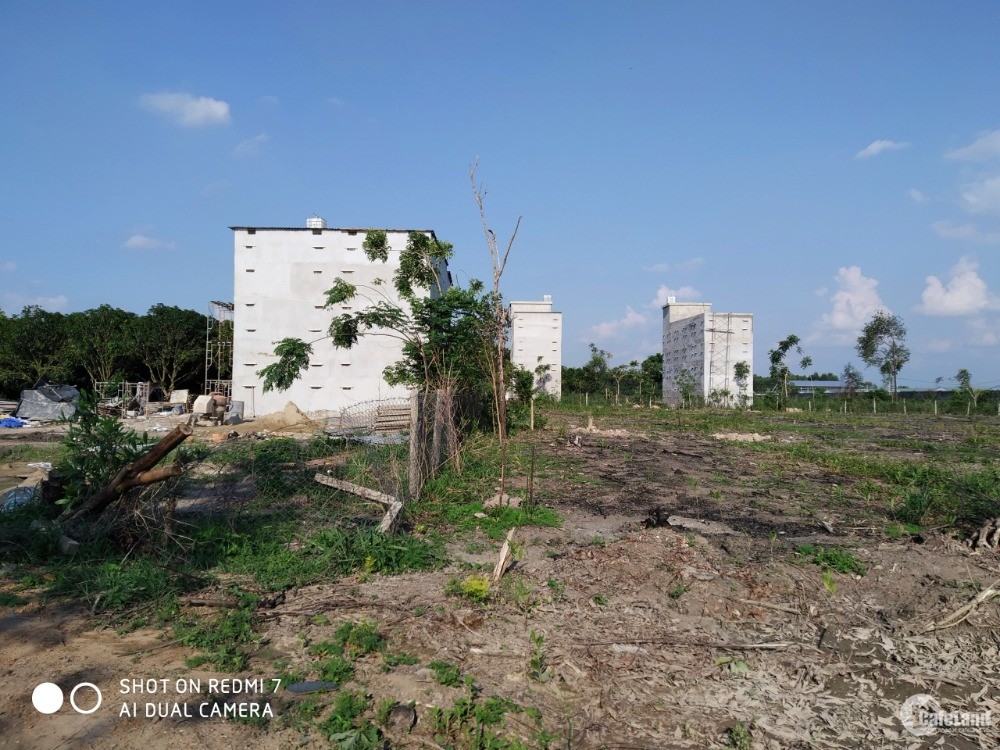 Bán 3.1 hecta đất trồng cây lâu năm xã Phú Thanh, H. Tân Phú, Đồng Nai