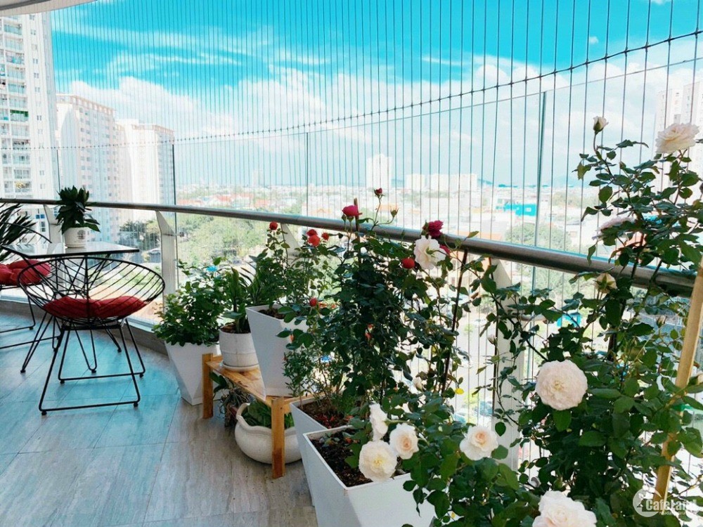 Bán căn hộ penthouse thông tầng cao cấp tại chung cư Gateway Vũng Tàu.