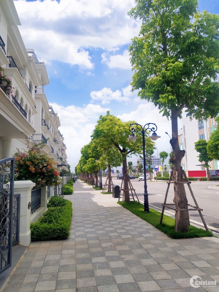 Bán căn shophouse đường Hoa hồng giá rẻ nhất dự án Vinhomes Star City Thanh Hóa