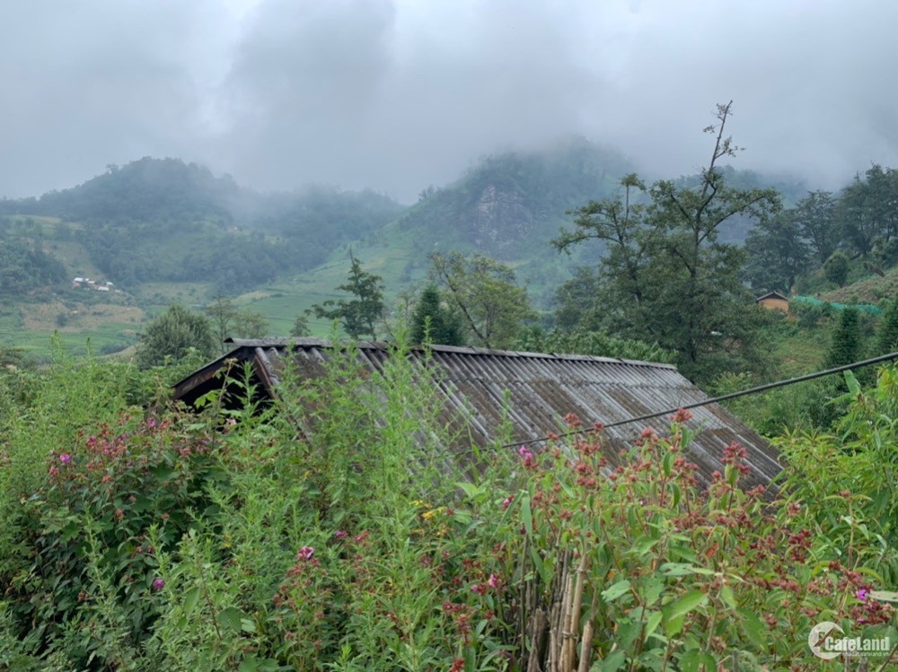 BÁN LÔ ĐẤt CÓ SẴN NHÀ 900m TẠI PHÌN HỒ Y TÝ BÁT XÁT LÀO CÁI VIEW CỰC ĐẸP