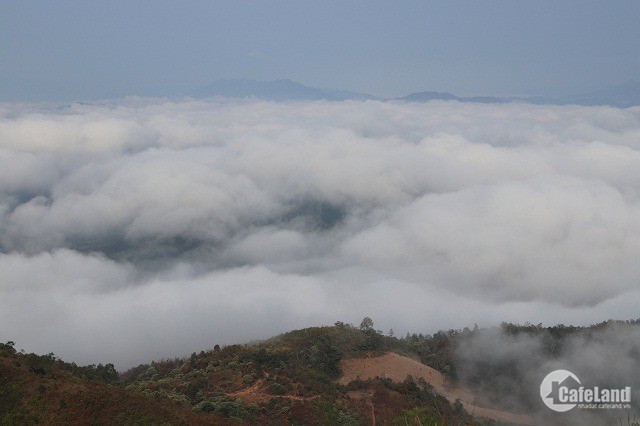 Bán mảnh đất săn mây đẹp nhất khu Phan Cán Sử-Y Tý