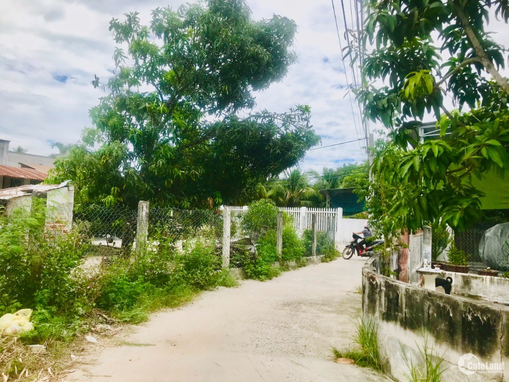 Bán đất giá rẻ,2 mặt tiền có thổ cư,gần Quốc Lộ 1A Cam Lâm Khánh Hòa.