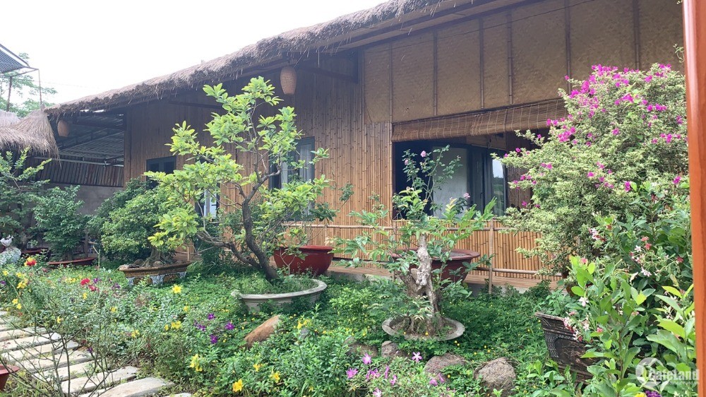 Cần bán nhà vườn Bà Rịa có giếng phun, hồ bơi, suối, ao sen…. view nghỉ dưỡng