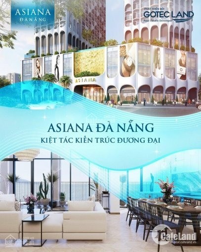 Giải mã căn hộ cao cấp hot nhất hiện nay, Asiana vịnh ngọc tp Đà nẵng.
