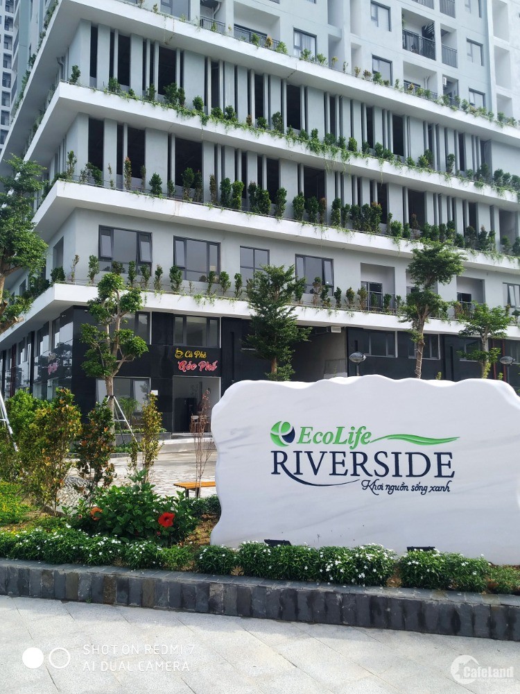 Nhà tốt chốt nhanh – Dọn ngay đến ở Ecolife Riverside