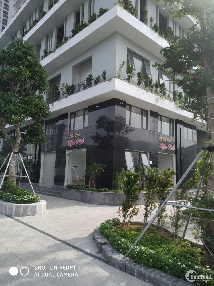 Bất Động sản căn hộ Bình Định đang nóng dàn tại thời điểm cuối năm 2021