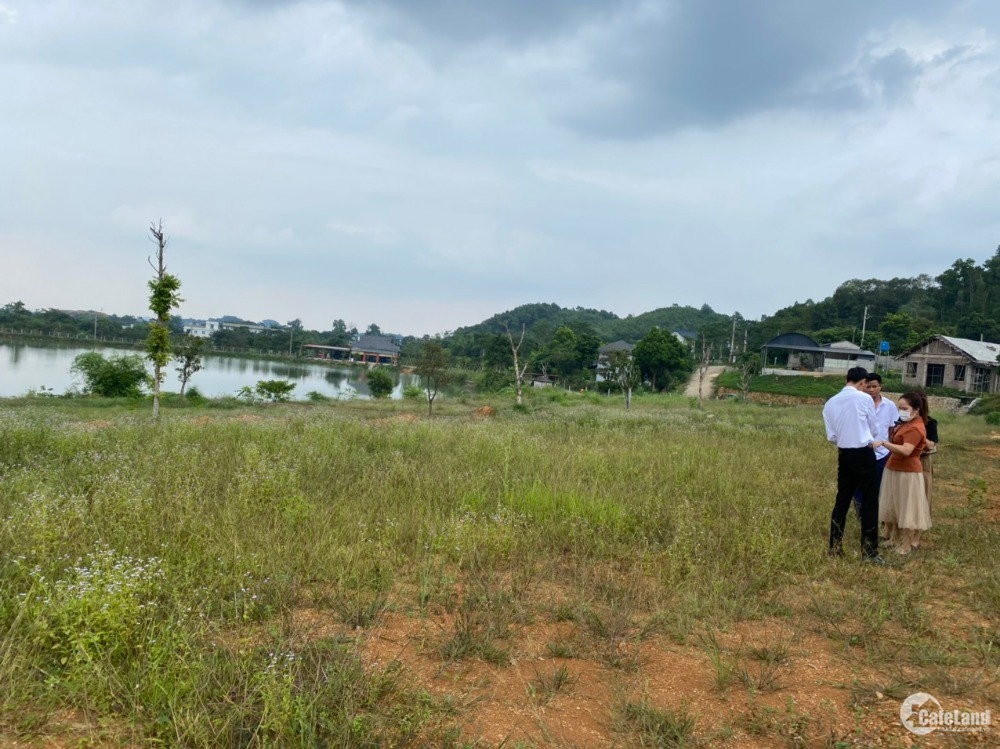 View Hồ Yên Bài, lưng tựa núi. Nằm giữa trung tâm quần thể nghỉ dưỡng