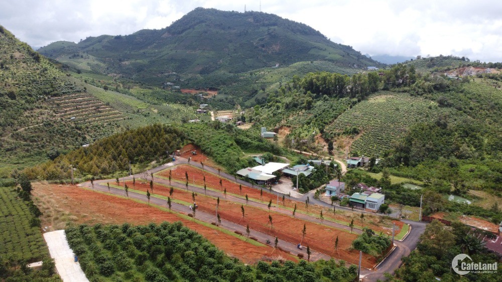 Cần bán gấp lô đất đã có sổ thổ cư diện tích 10x26m tại Đại Lào Bảo Lộc.
