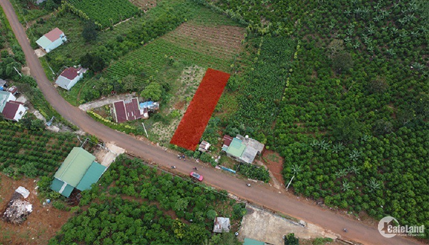 Đất 10x50m, mặt tiền Tản Đà, Xã Dambri, Bảo Lộc