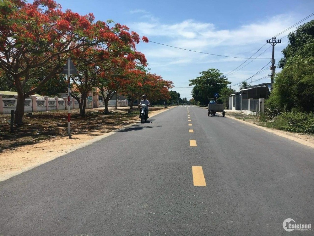 Cần Bán Gấp Lô Góc 2 mặt tiền đường xã Cam Thành Bắc cách đường Đồng Bà Thìn 300
