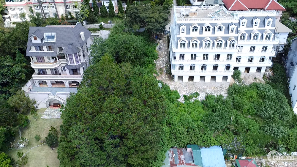Cần bán lô đất nằm trong rừng thông view xanh vô cực phường 3 thành phố Đà Lạt