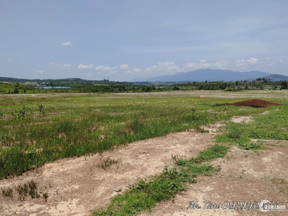 Bán 7.2 hecta đất đẹp bằng phẳng khu thác Pongour,Đức Trọng,Lâm Đồng, 360 triệu/