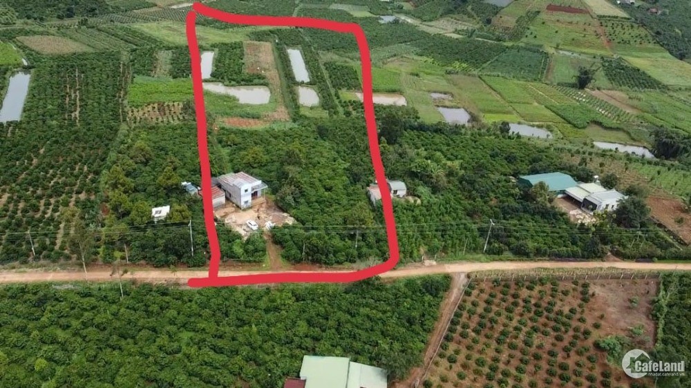 Bán gấp 1.2 hecta đất đẹp tại ĐT 725 xã Tân Thanh,Lâm Hà,Lâm Đồng,giá 3,6 tỷ TL